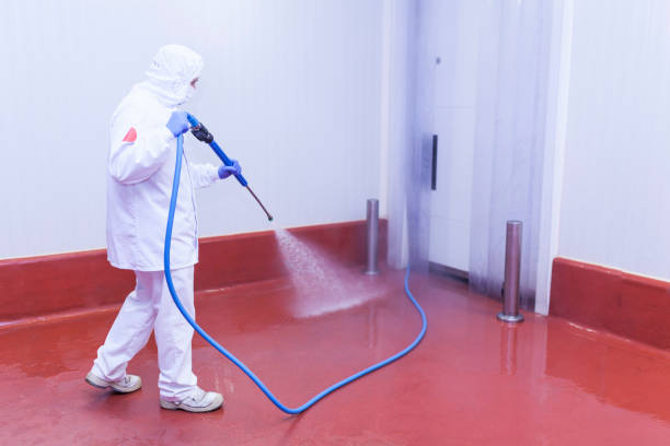 Best Gas Station Cleaning  in Tolono, IL