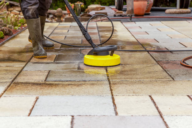 Best Warehouse Cleaning  in Tolono, IL